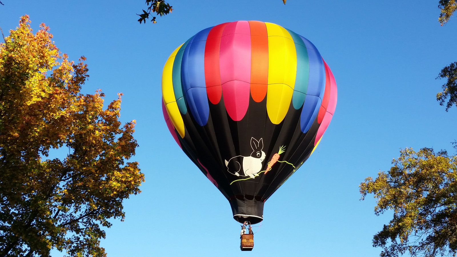 hot-air-balloon Image